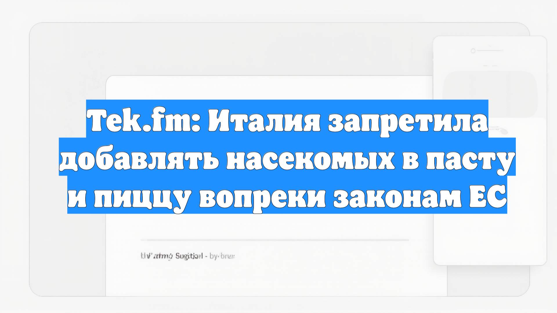 Tek.fm: Италия запретила добавлять насекомых в пасту и пиццу вопреки законам ЕС