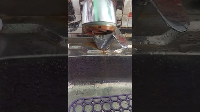 📌 13.02.25 Взяли пробы воды 💧