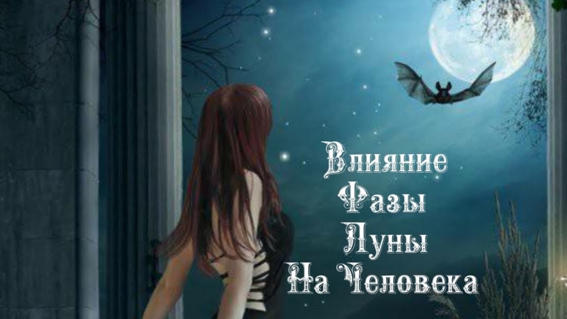 Влияние Фазы Луны на человека 1️⃣3️⃣ Февраля 2️⃣0️⃣2️⃣5️⃣ 🌒🌓🌔🌕🌖🌗🌘🌙🌛🌜🌝
