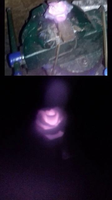 lv_0_20250213124317.mp4