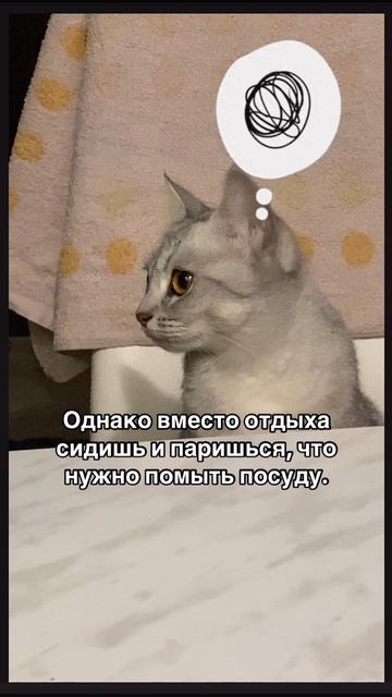 12-02-2025