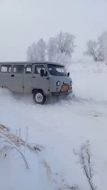 VID-20250106-WA0068