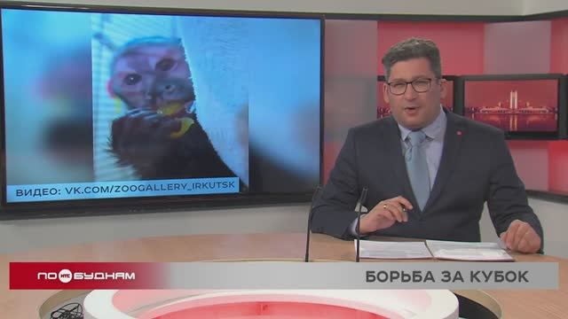 «По весточке»: подарки для души