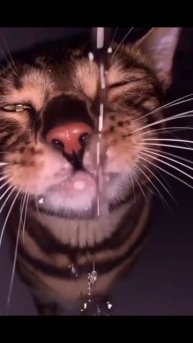 СУШНЯК #ЛучшаяМимикасИИ #покапибаримся #УютныеРецепты