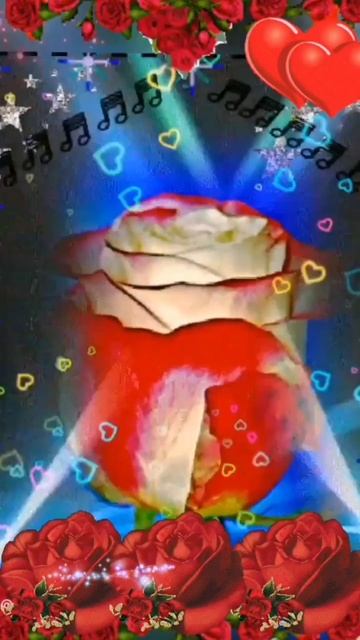 lv_0_20250213125434.mp4