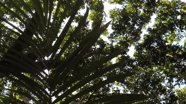 Destination Zanzibar (Zanzibar Tourism Show)