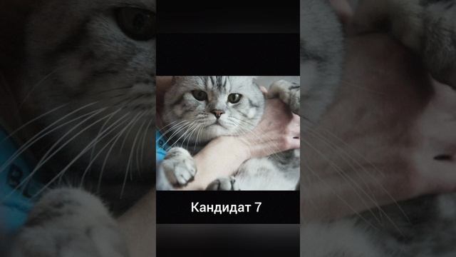 Выбираем жениха на сайте знакомств