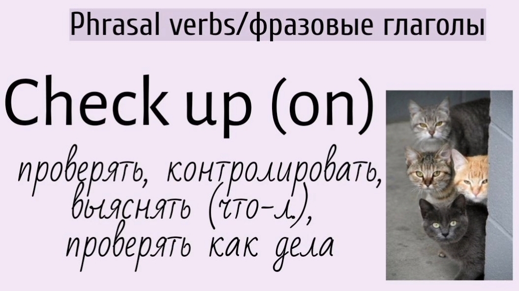 Phrasal verbs/фразовые глаголы👉check up on, check off