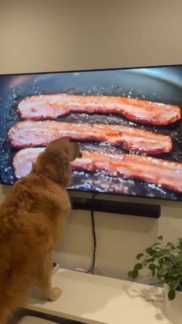 134
