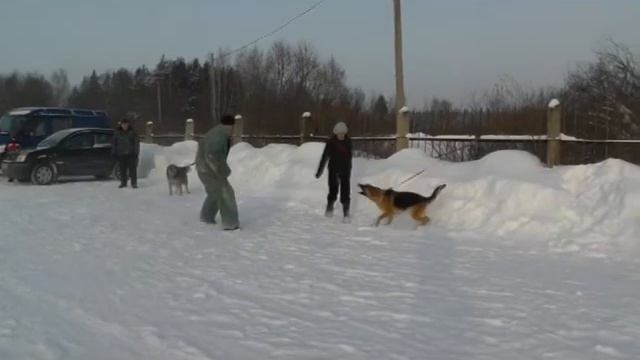 щщщщщ