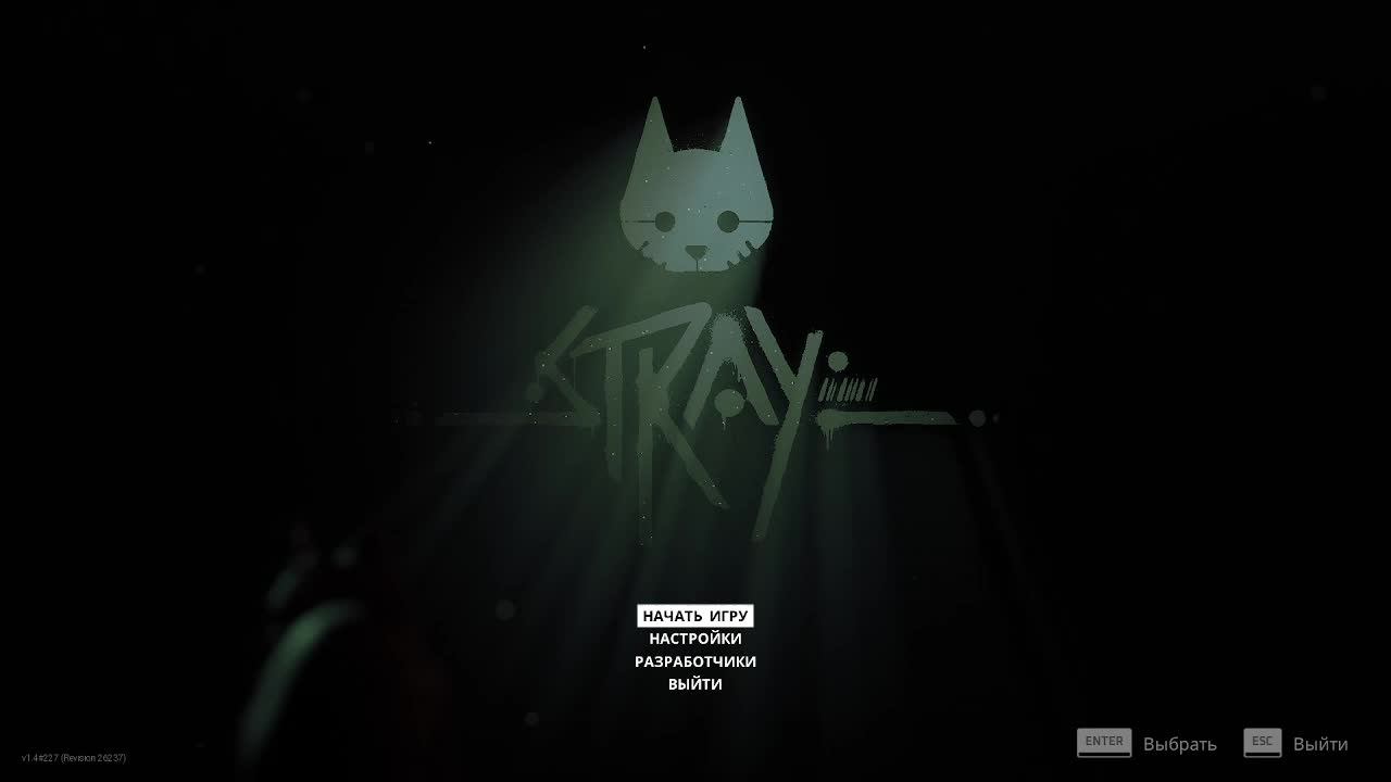 stray