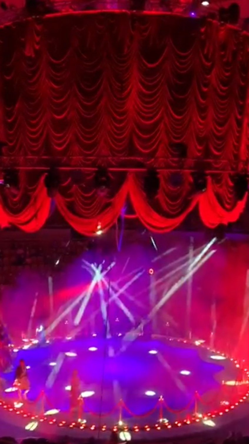 НАЧАЛОСЬ ПРЕДСТОВЛЕНИЕ В ЦИРКЕ 🎪