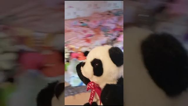 VID-20250212-WA0008