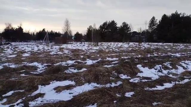 д. Сергово 50:18:0080110:1318
