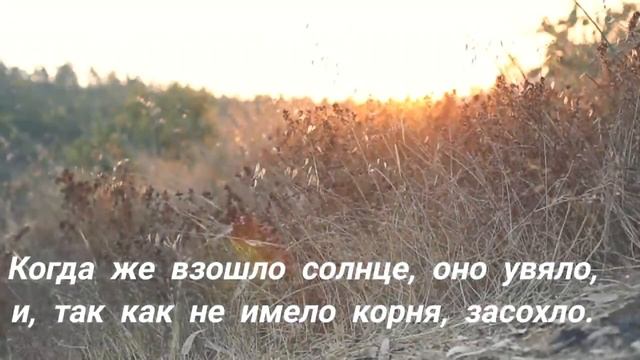 Сеятель - это Господь, а семя - это Слово Божие