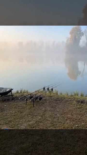 рыбалка на карпа