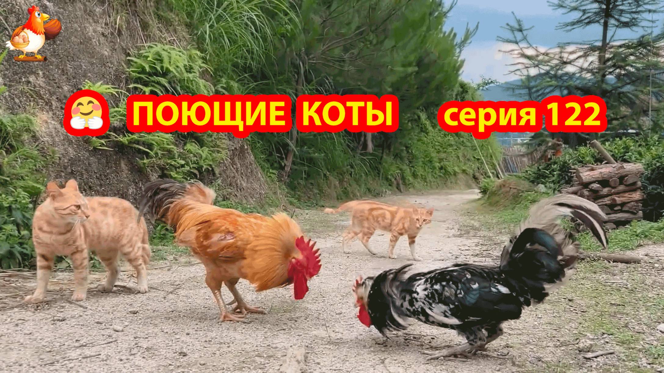 Крутые коты у птичьего двора серия (122) 🐈🐈⬛😹 Природа Абхазии и подворье с птицами и животными ❣