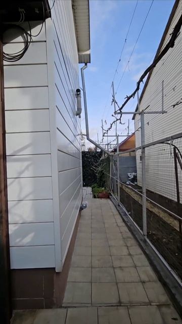 1000149436.mp4