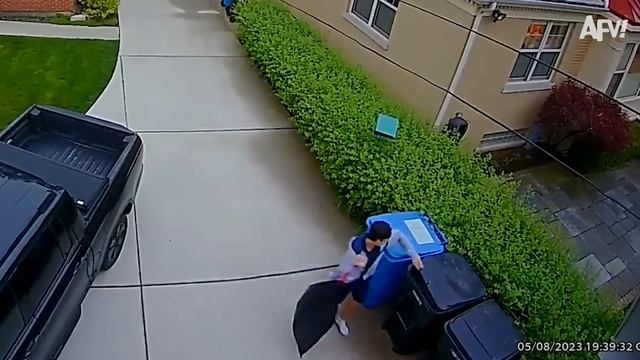 If David Attenborough Narrated Security Cam Footage Our Funny Planet