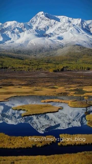 Северо-Чуйский хребет, Республика Алтай🏔🌲https://t.me/vzgliani_blog #video #travel #like #shorts