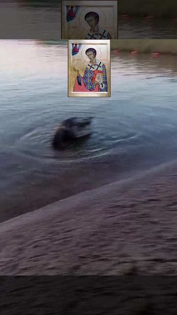 13 февраля день памяти святителя Никиты, епископа Новгородского