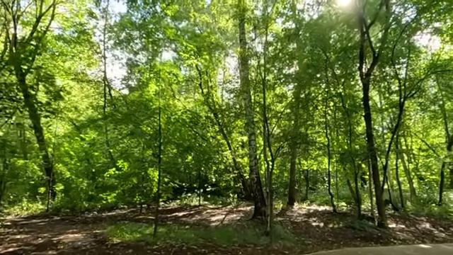 Мама прекрасно разбирается в уколах! – убеждал муж угасающую жену… А когда он привез странную гостью