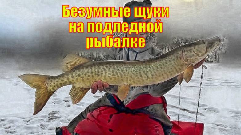 Безумные щуки на подледной рыбалке (Сломанная УДОЧКА)