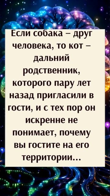 #юмор #подпишись