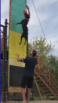 Веселй КотоПес. 3 выпуск.