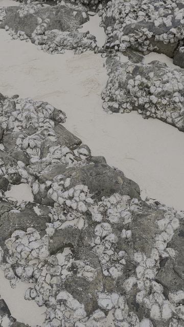 Камни из прилипших ракушек