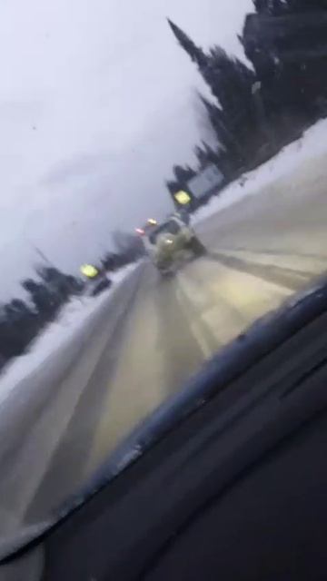 балбес ы без света