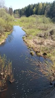 Река Вырка.