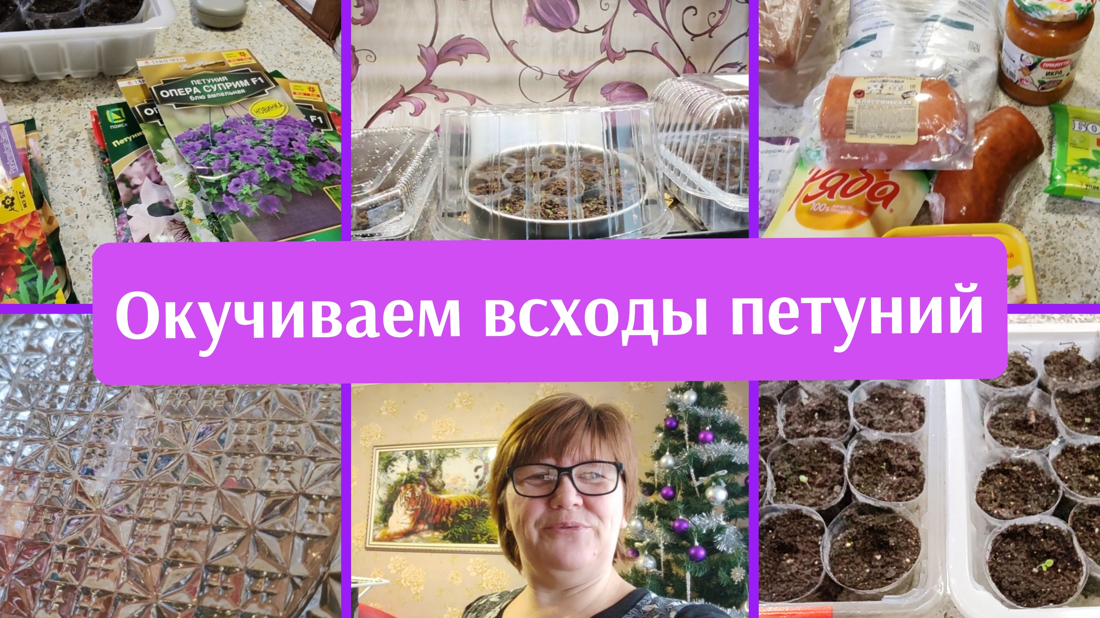 13-02-2025. Жизнь на пенсии. Покупки из фикспрайса. Продукты. Обзор на петунии.