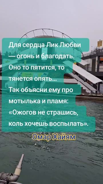 О любви.