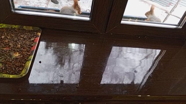 Вечером как всегда
