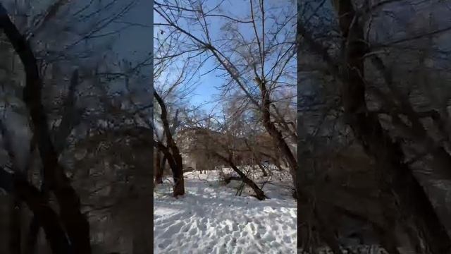 Видео 4