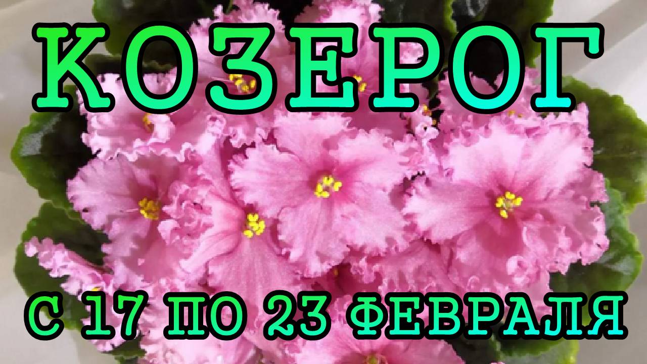 КОЗЕРОГ таро прогноз на неделю с 17 по 23 ФЕВРАЛЯ 2025 года.