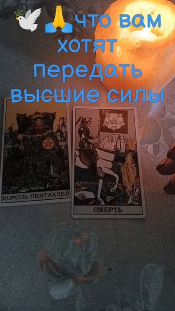 🕊🙏Что вам хотят передать высшие силы⁉️