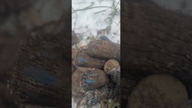 коп. металлоискатель. монета николая 1го.