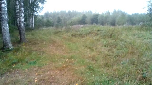 VID_20230827_093645.mp4