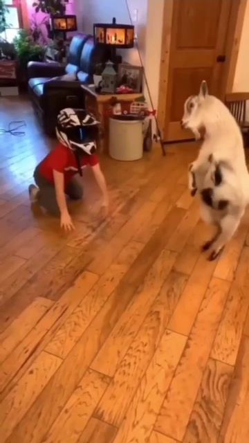 1000073580.mp4