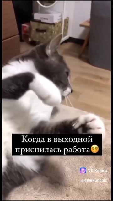 1000012277.mp4