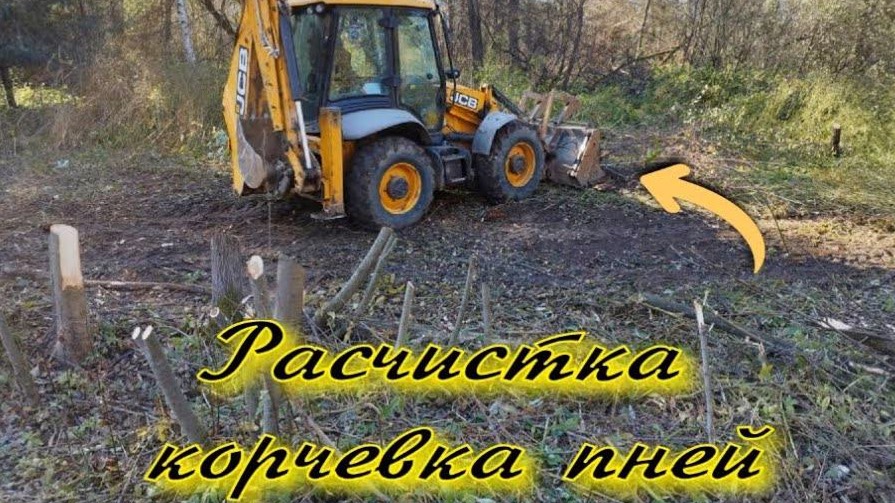 Расчистка Константиново