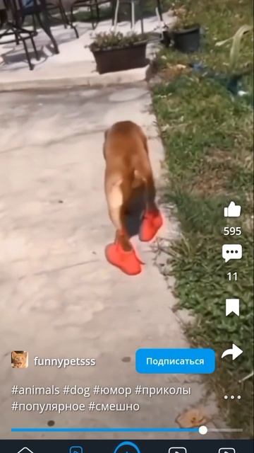 1000003678.mp4