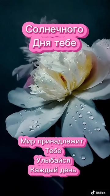 ХОРОШЕГО ДНЯ