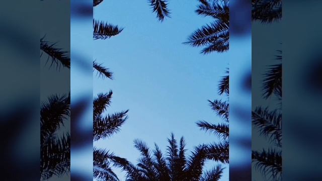 Шабд "Мера Ман Лоче" 11 повторений, медленно для разучивания