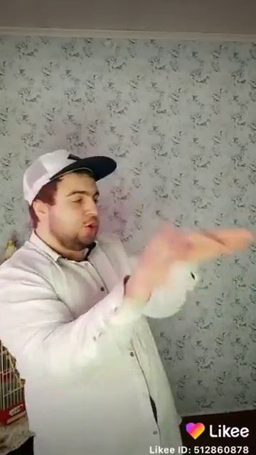 36. Лаки таких танцев не видели360P456252913