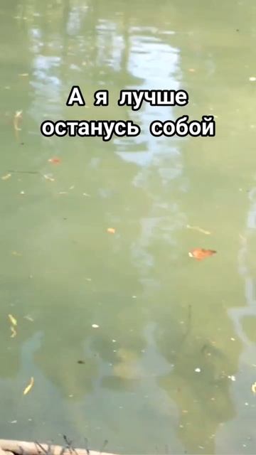 С - самодостаточность 🤣 #юмор