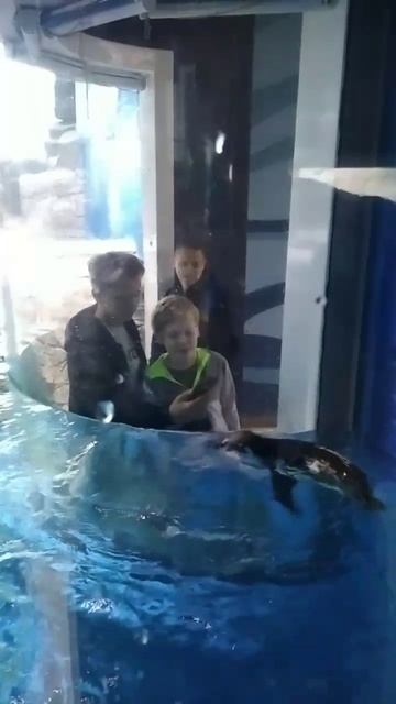 Владивосток.океанариум