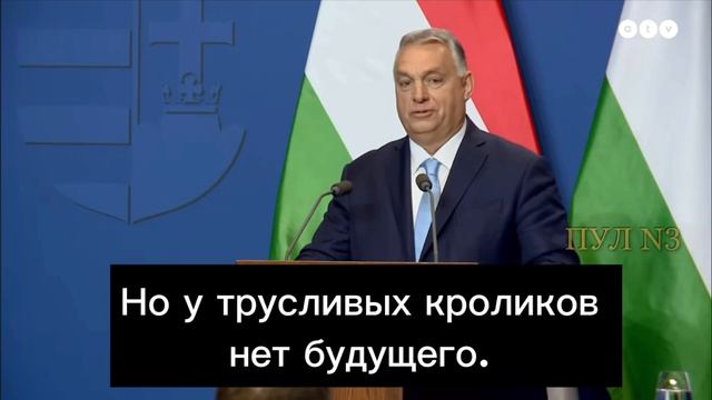 Премьер Венгрии Орбан – назвал лидеров Евросоюза "трусливыми кроликами".